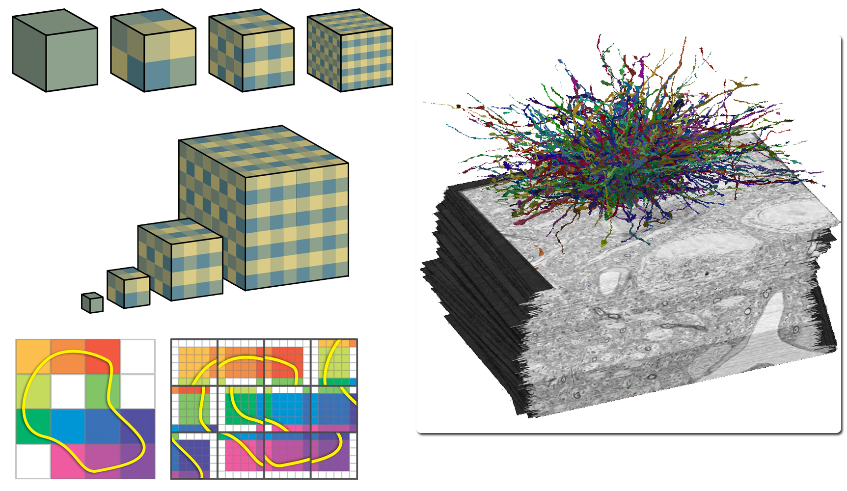 Scalable Volume Visualization Architectures and Applications
